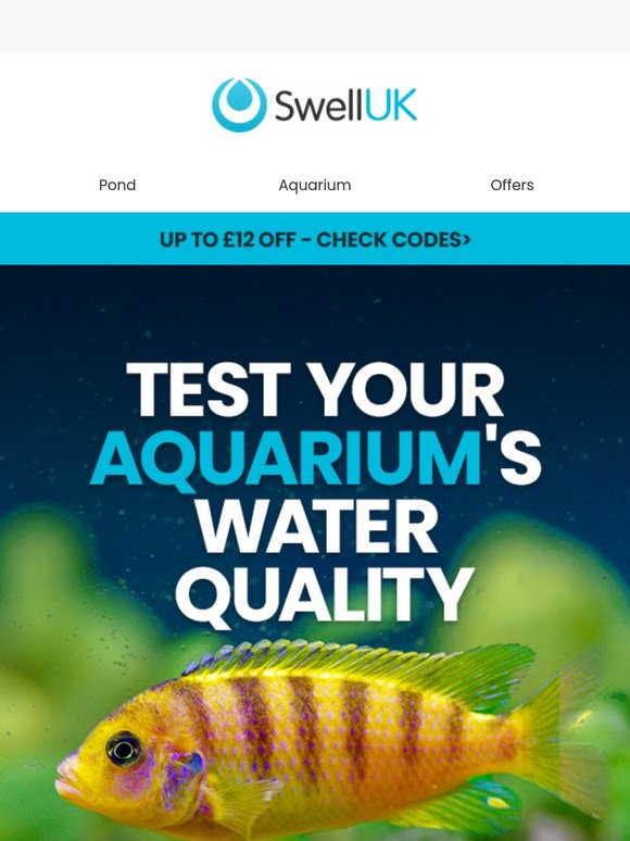 Test Your Aquarium’s Water Quality