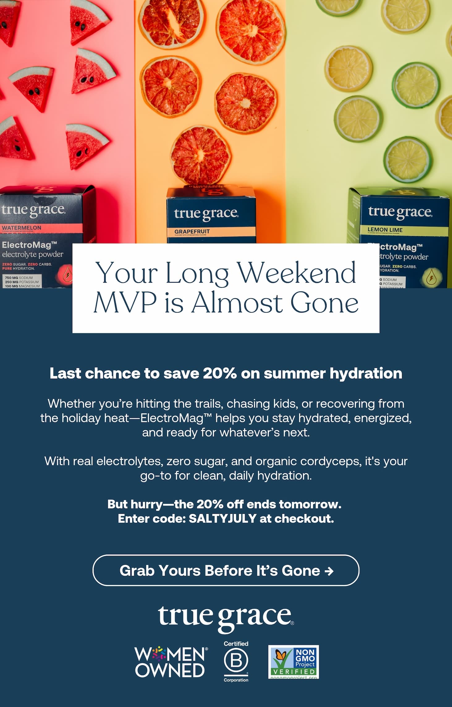 Save 20% on ElectroMag