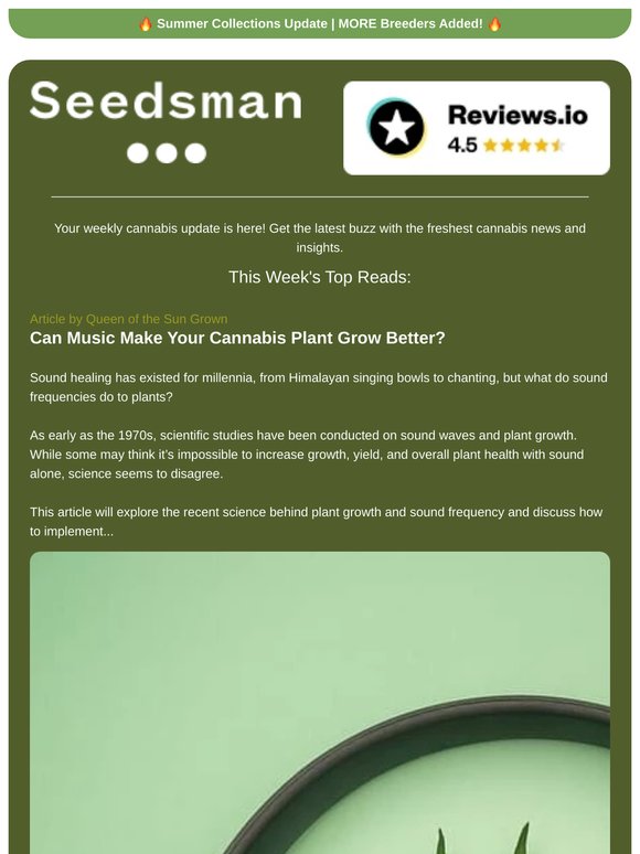 📬 Weekly Newsletter 📬