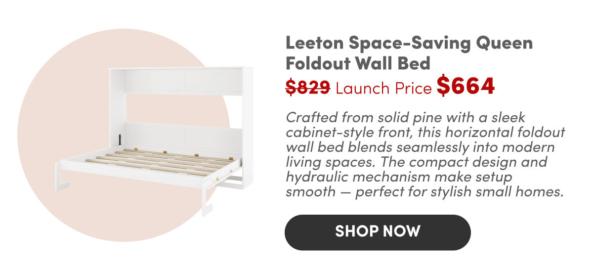 Leeton Space-Saving Queen Foldout Wall Bed