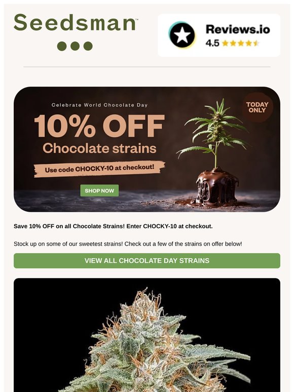 🍫 Sweet Deals on Chocolate Strains 🍫