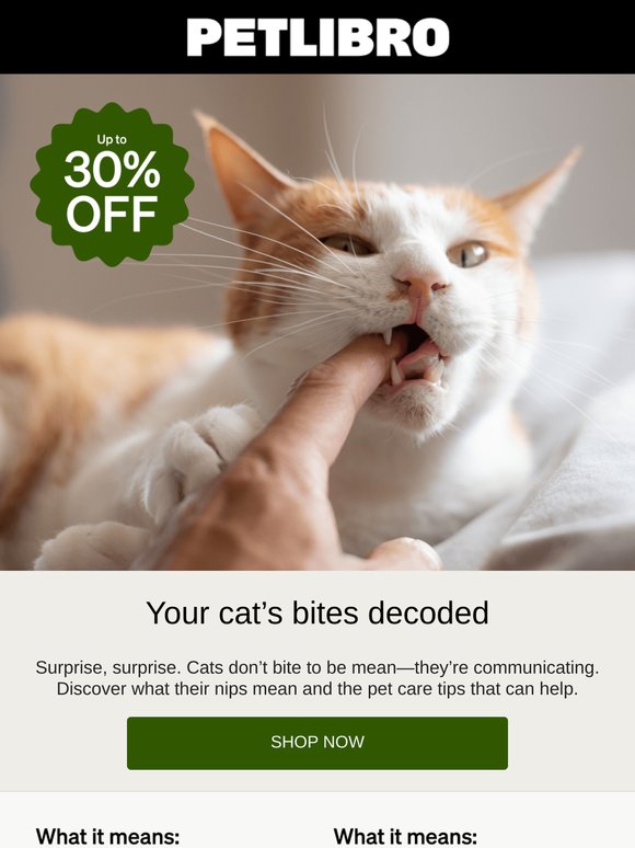 Your cat's bites decoded + up to 30% off