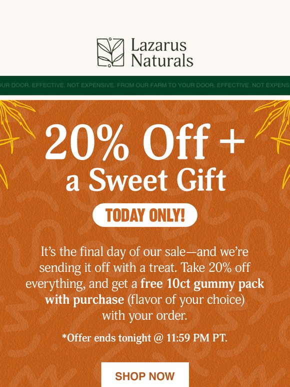 🇺🇸 Sale Ends in Hours – Save Up to 20% Now