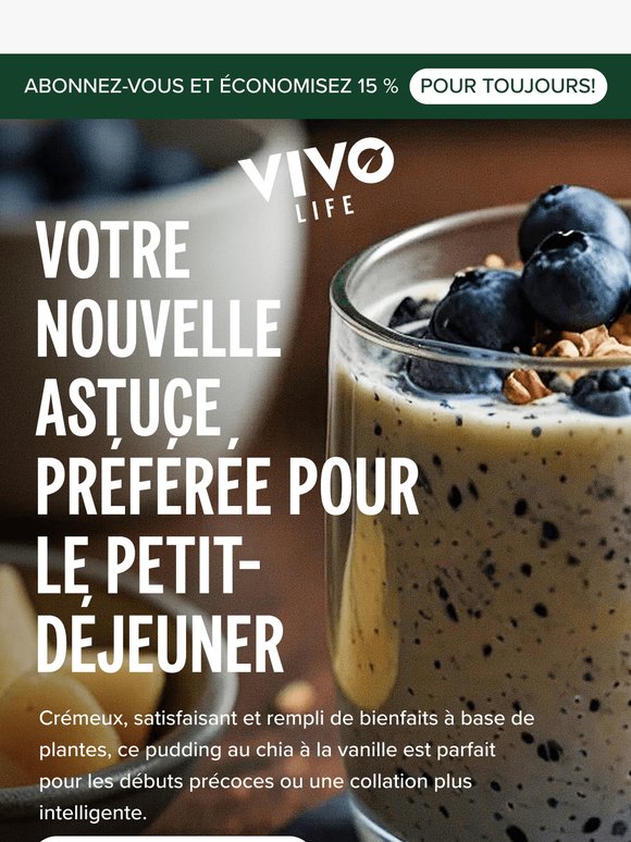 Ce pudding, c’est de l’or pour le petit-déj 😋