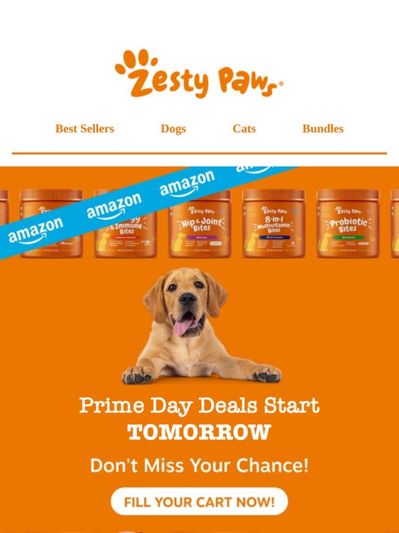 🐾 Amazon Prime Day starts tomorrow! Get your wishlist ready!