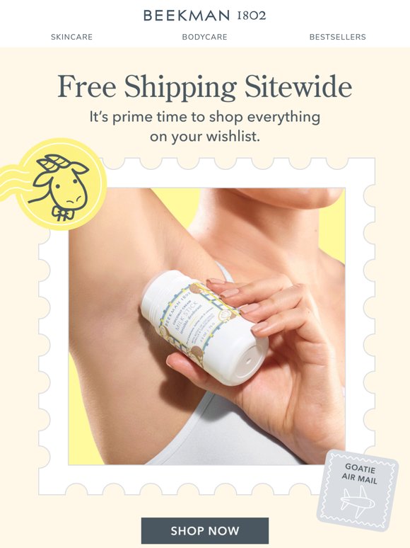 Free Shipping Sitewide Starts Now! 🚚 📦
