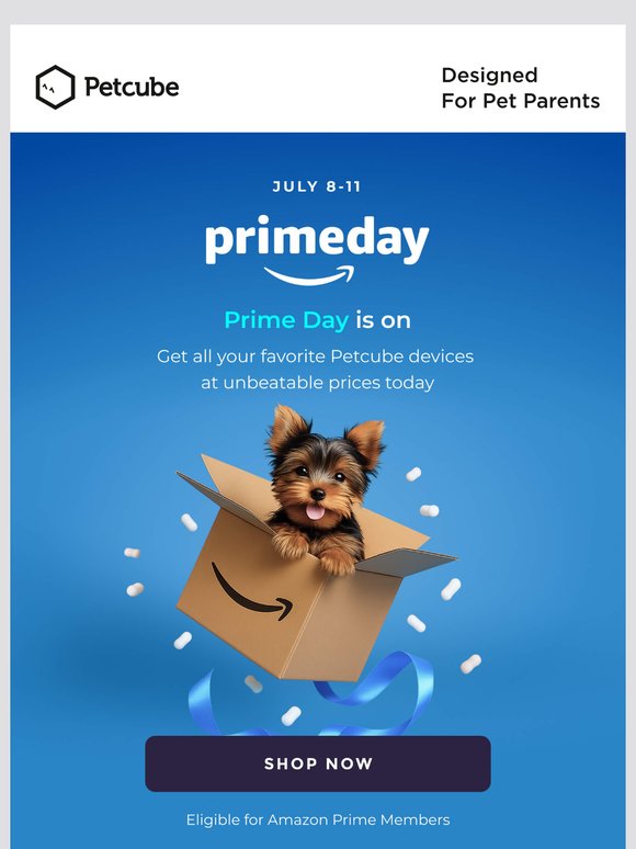 Up to 20% off? Yep, it’s Prime Day.