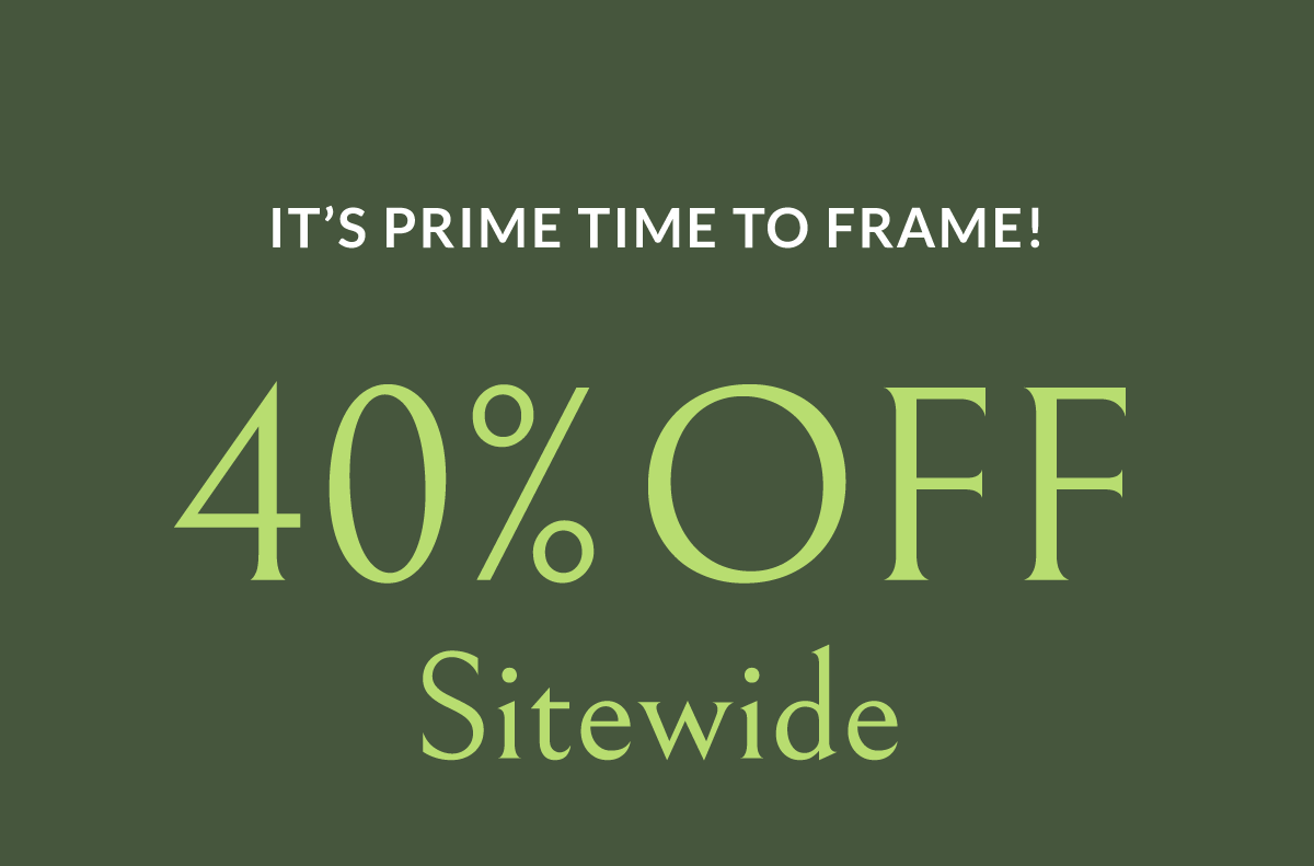 Pictureframes: It’s Prime Time to Frame and get 40% Off Everything ...