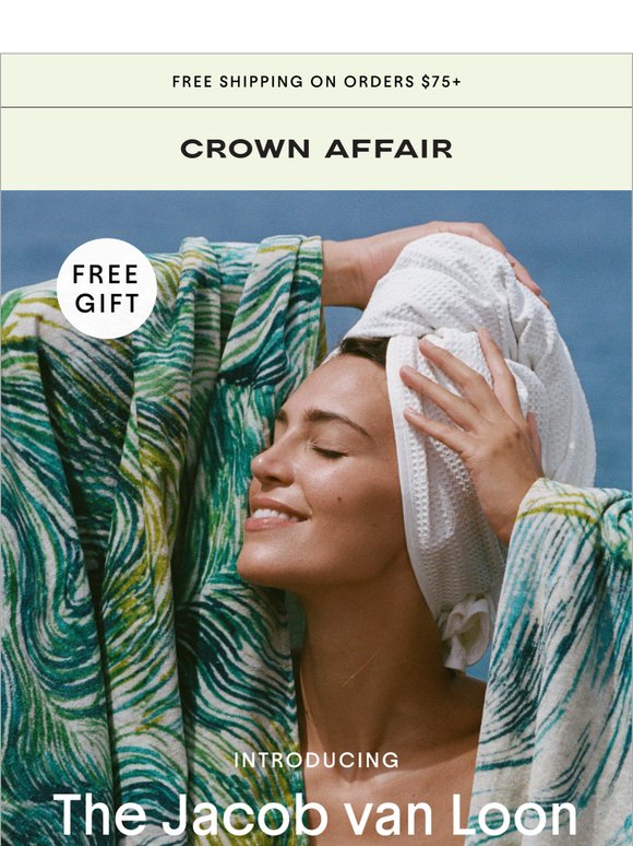 New! The Jacob van Loon Towel