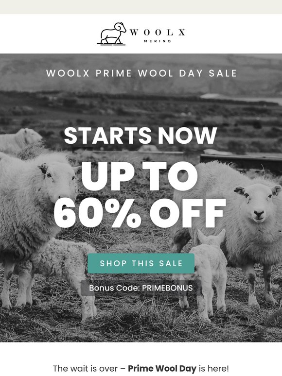 Prime Wool Day Is HERE! 🐑