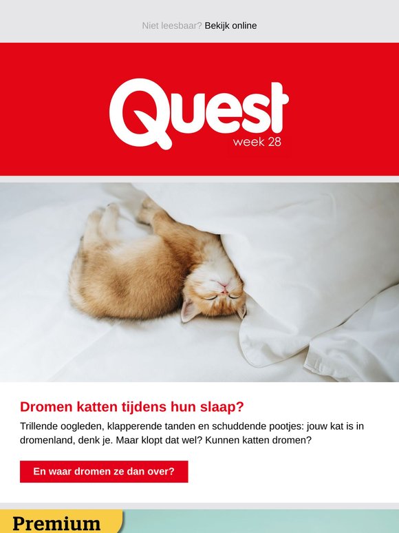 Hoe merk je dat je mentaal een dagje ouder wordt?