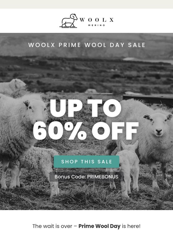 Save Up to 60% – Yes, Really.