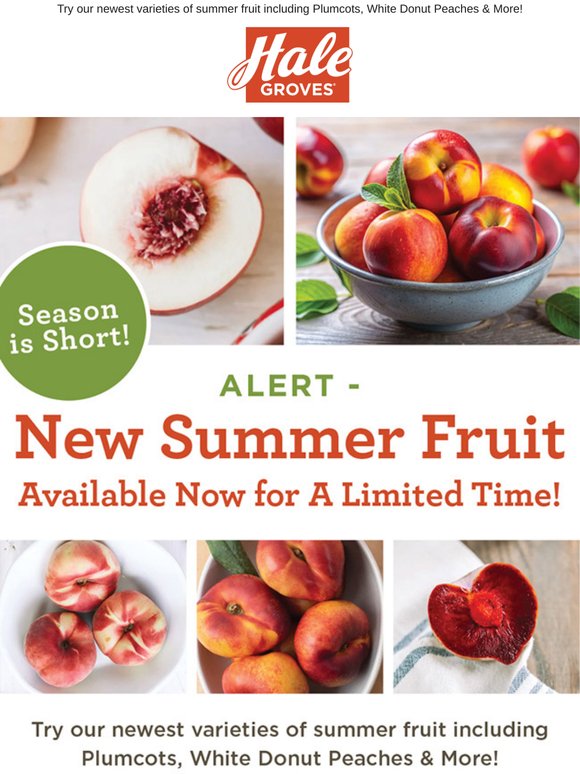 ALERT - New Summer Fruit is Available Now for A Limited Time!