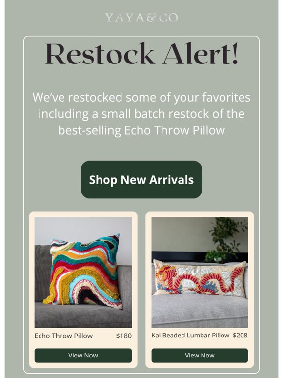 The Echo Throw Pillow has been Restocked! 🌈