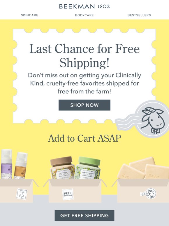 Free Shipping Ends Tonight! 📦