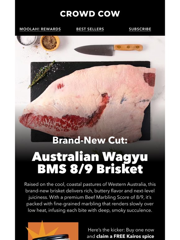 New Waguy Brisket is Here, And It’s Built to Impress