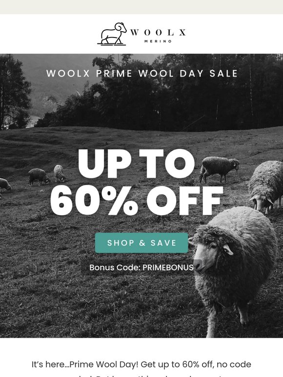 Don’t Miss Out on the BIGGEST Sale of the Year!