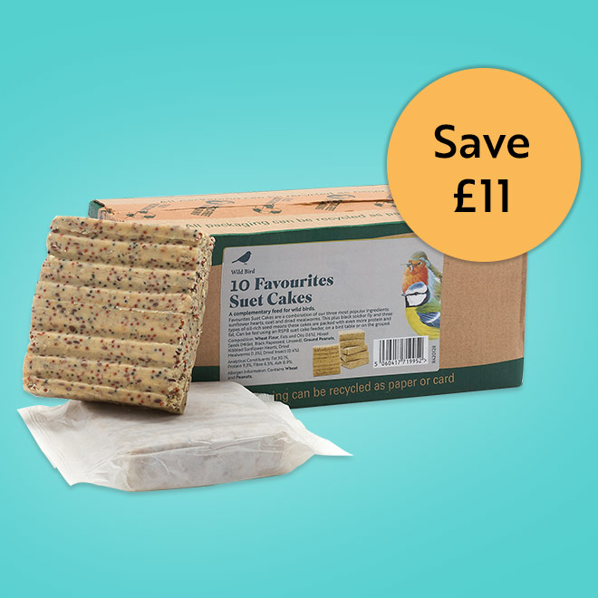 Link to box of 10 Favourites suet cakes offer
