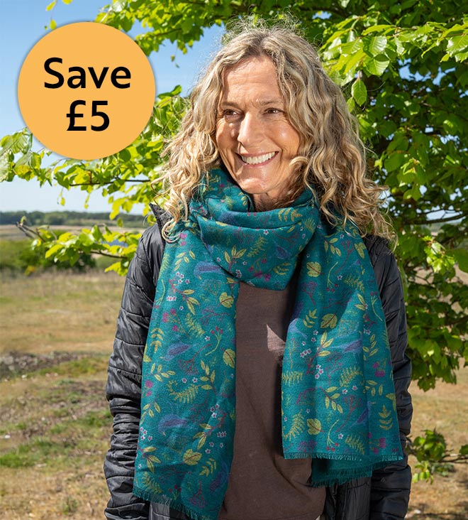Link to buy 2 scarves save £2