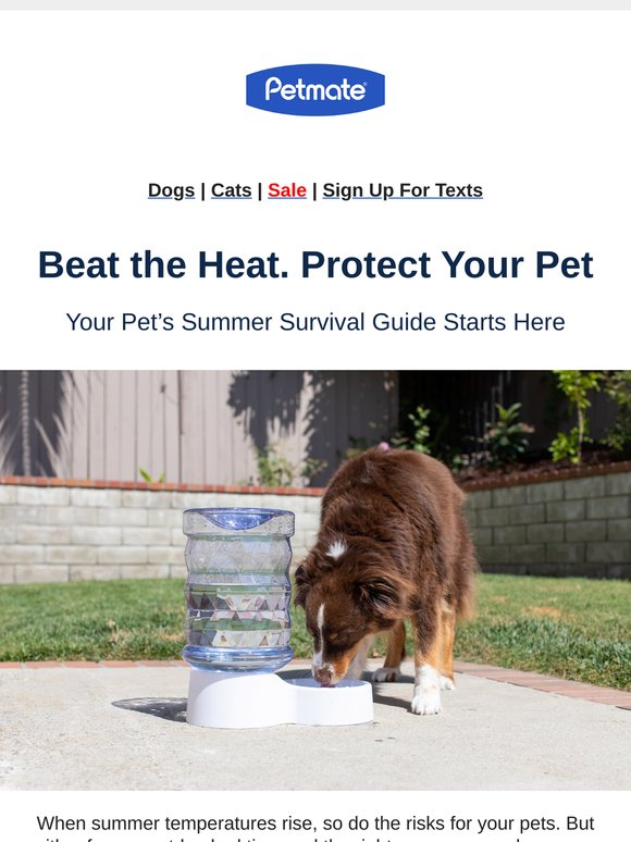 Hot Days Ahead? Here’s How to Keep Your Pet Cool & Safe
