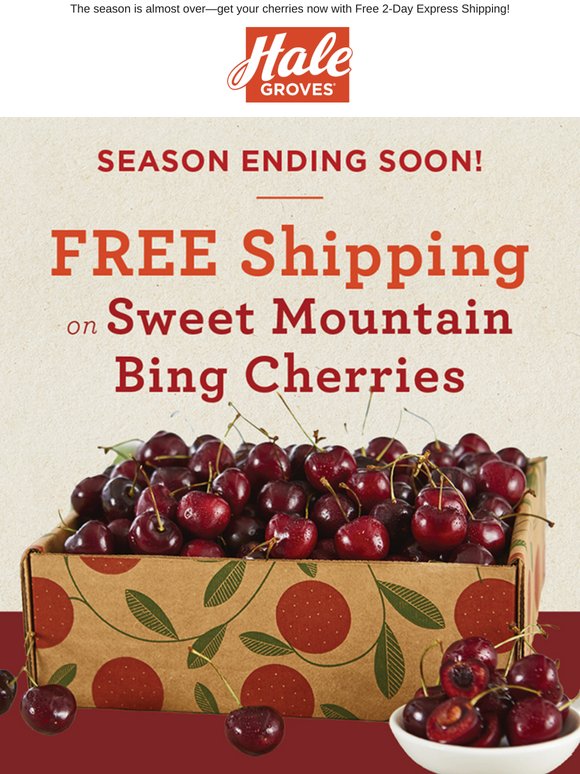 FREE Shipping on Sweet Mountain Bing Cherries �� Season Ending Soon! 🍒