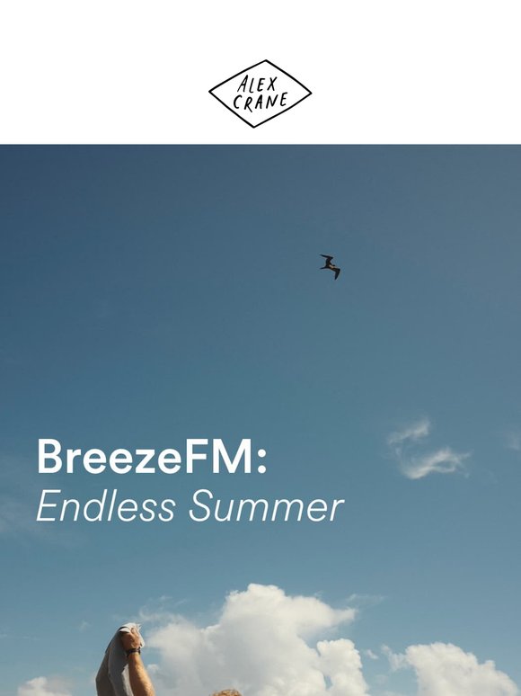 Breeze FM: Endless Summer