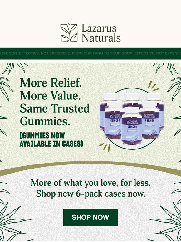 📦 Your Favorite Gummies — Now in Cases
