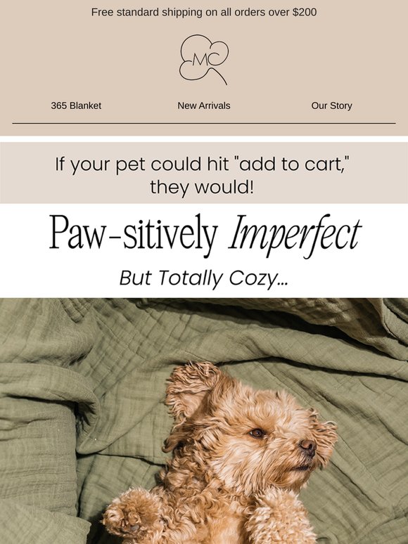 BACK IN STOCK!! 🐾 The Paw-sitively Imperfect Pet Blanket