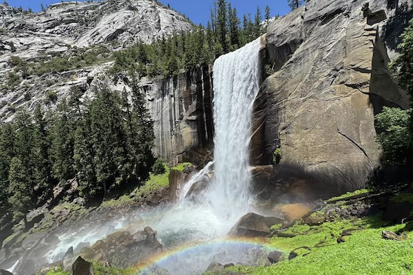 In crowded Yosemite, a small animal is becoming a huge problem | SFGATE