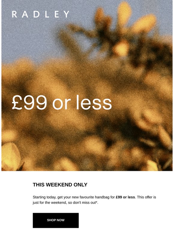 Handbags £99 or less starts now