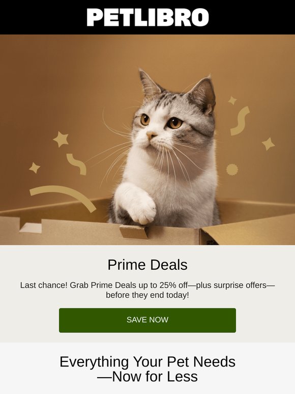 ⚡ Hurry! Prime Deals + Mystery Doorbusters End Today!