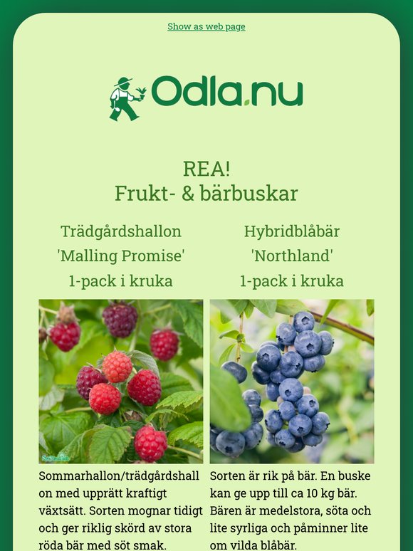 Fyll trädgården med frukt, bär och perenner 🫐
