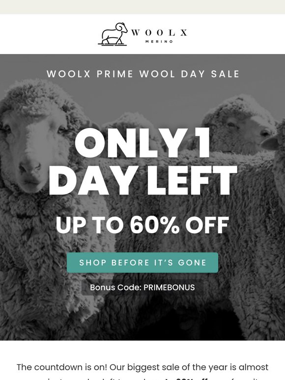 Hurry—HUGE Sale Ends Tomorrow!