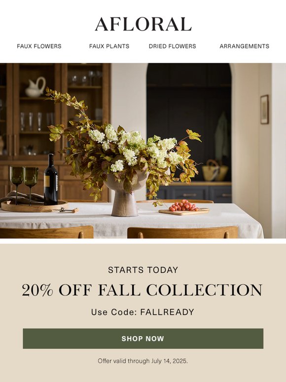 20% Off Your Fall Must-Haves 🍁