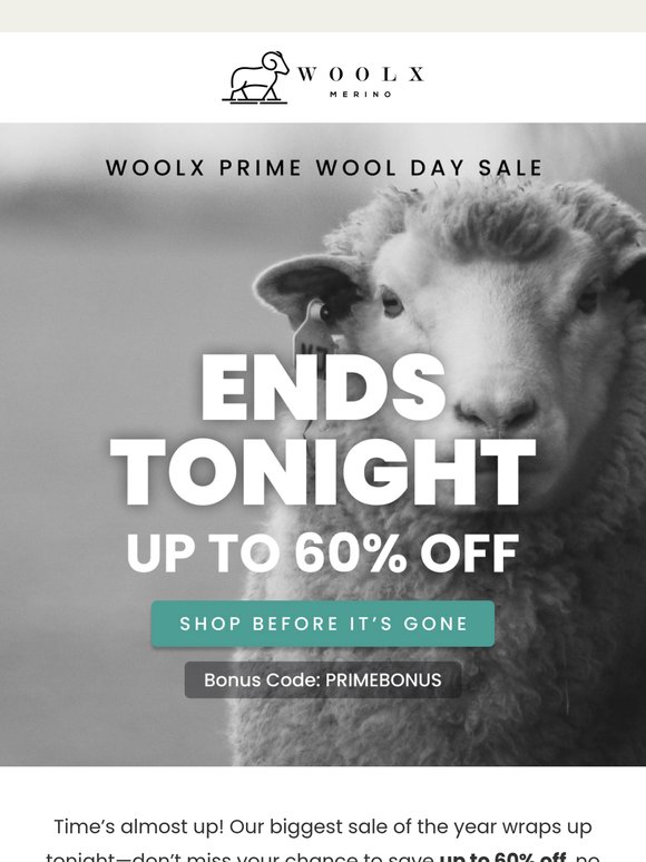 Prime Wool Day Ends Tonight! 🕛