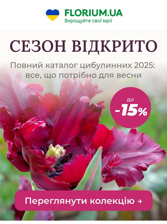🌷 Ваш каталог цибулинних на Осінь 2025