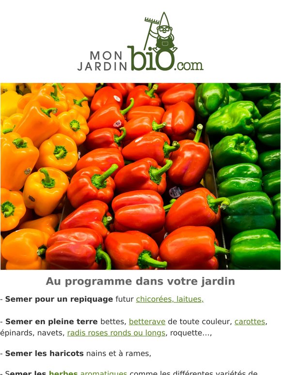 Plus que 7 jours pour commander nos plants potager bio - nos conseils jardin