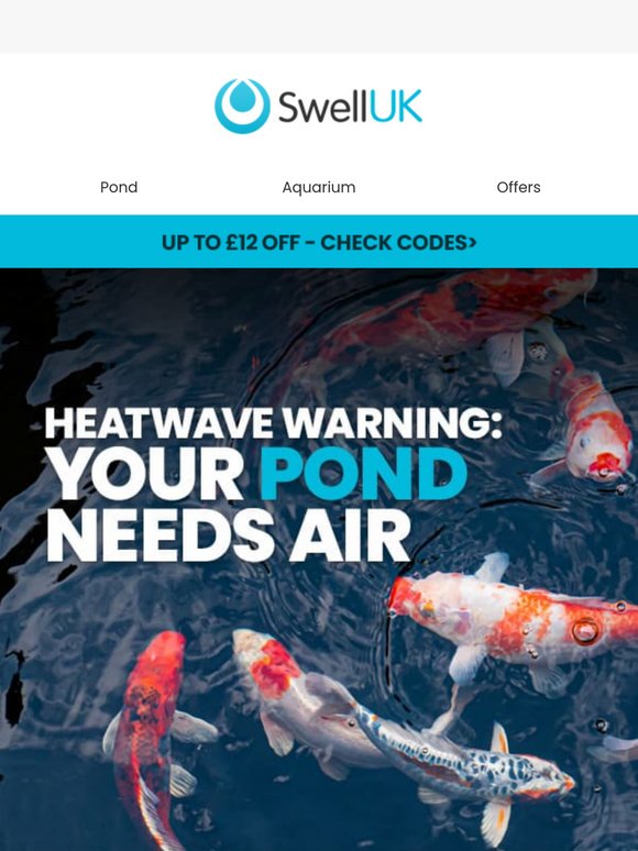 Heatwave Warning: Your Pond Needs Air!