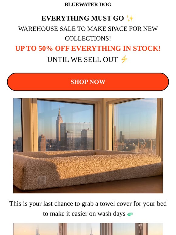 EVERYTHING MUST GO! Up to 50% OFF EVERYTHING IN STOCK!⚡️