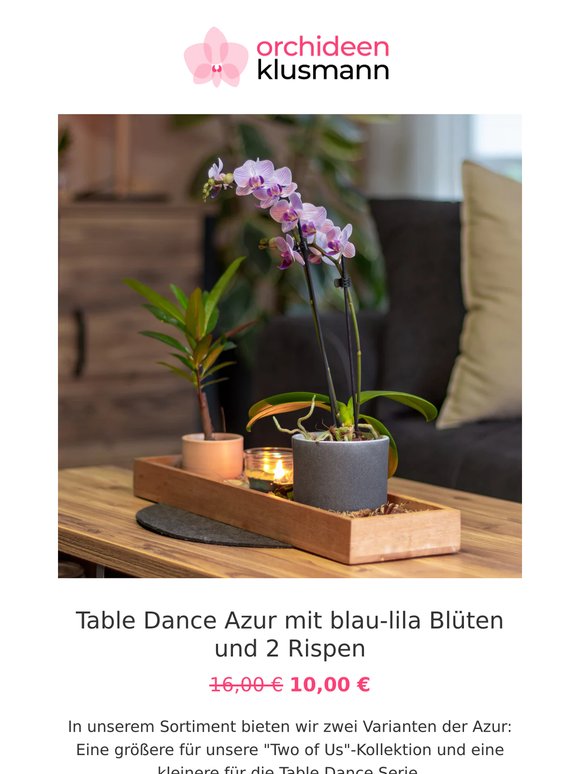 🌸 Orchideen-Schnäppchen zum Wochenende