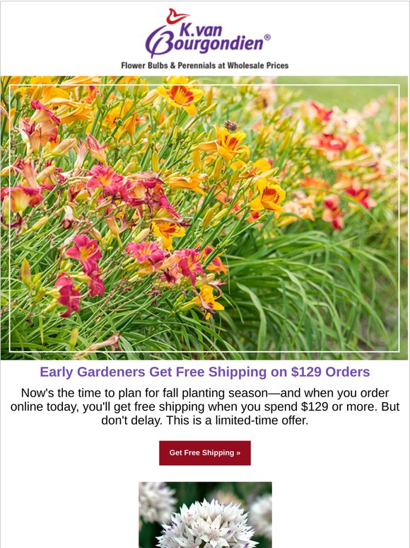 🍂 Your Fall Order Could Qualify for Free Shipping