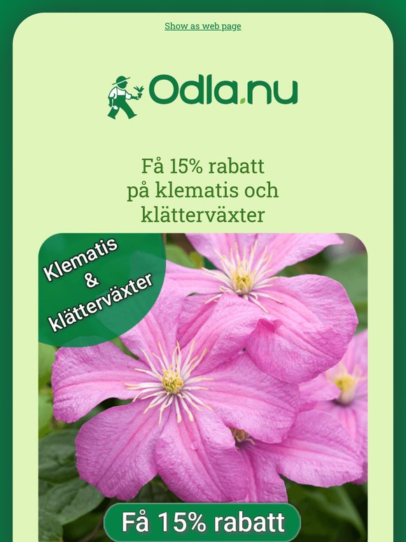 Sista chansen att få 15% rabatt på växter 🌼