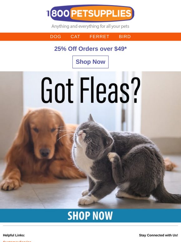 Fun in the ☀️ with 25% Off Your Order!