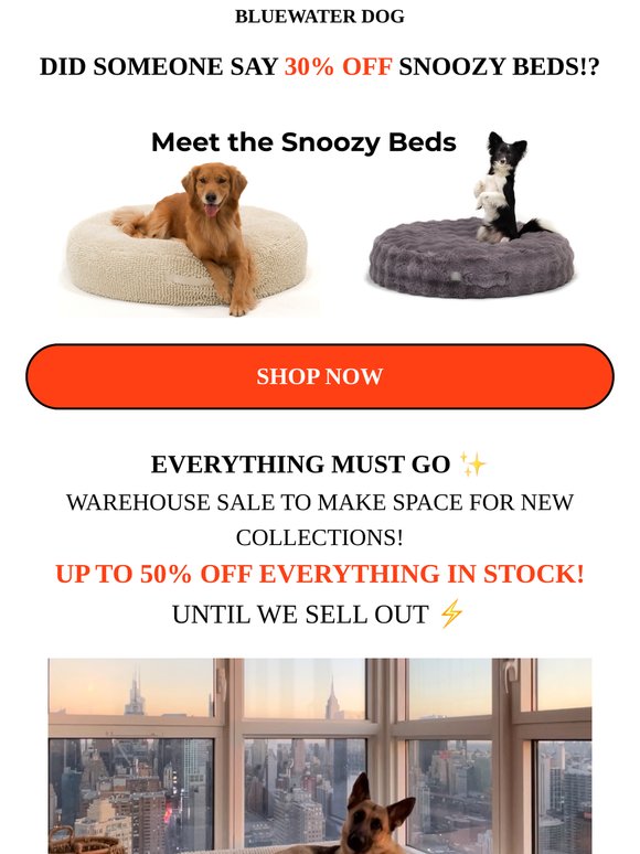 Did someone say 30% OFF snoozy beds?! ⚡️Act Now Before They Are GONE!