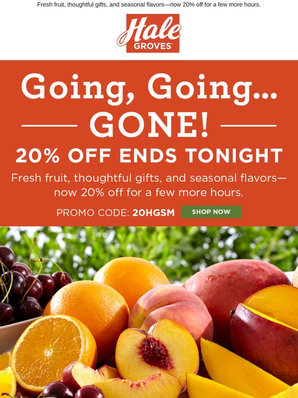 Going, Going…GONE! 20% Off Ends Tonight