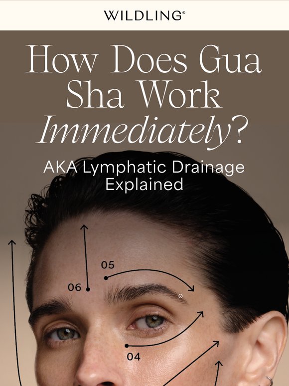 What is lymph, exactly?