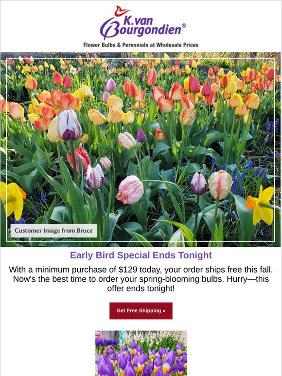 Your FREE Shipping Special Offer Ends Today