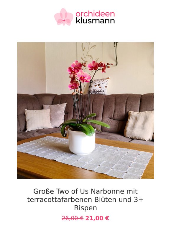 🌸 Für Dich: neue Aktionen zum Wochenstart