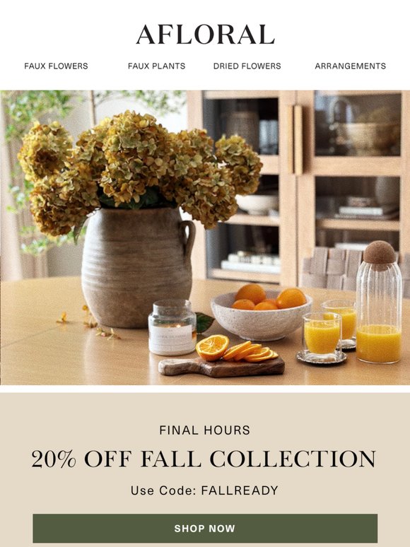 Last Chance: 20% Off Fall 🍃