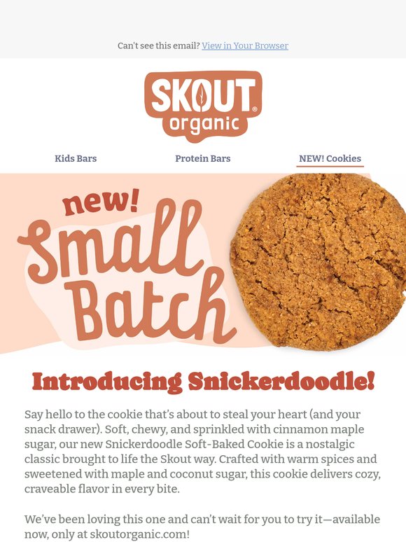 Snickerdoodle Just Got a Better-For-You Makeover 🍪